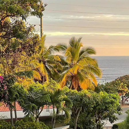 Casa Tropical Kona Apartment